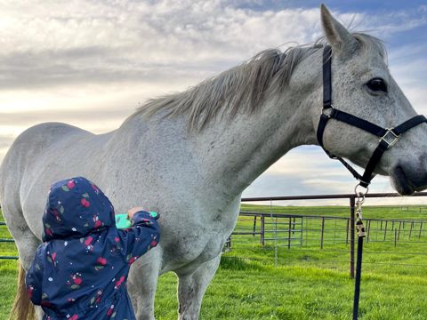 Grandkids with the horses.